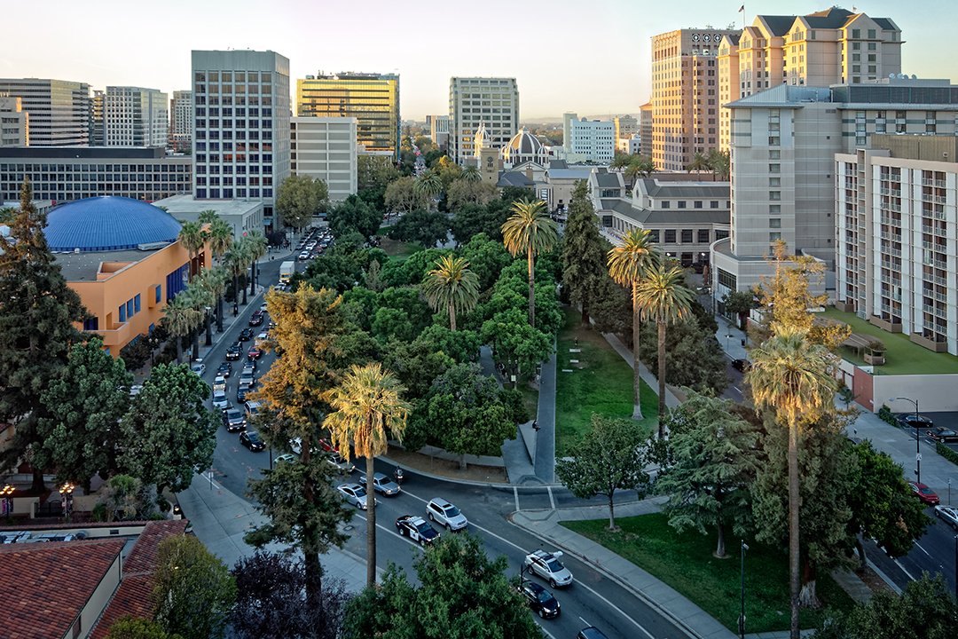 Firewood Delivery: San Jose, California