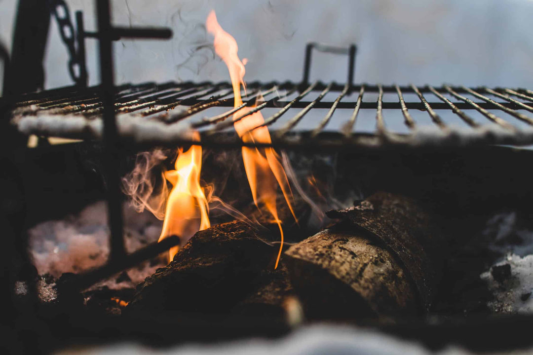 Choose Kiln-Dried Firewood