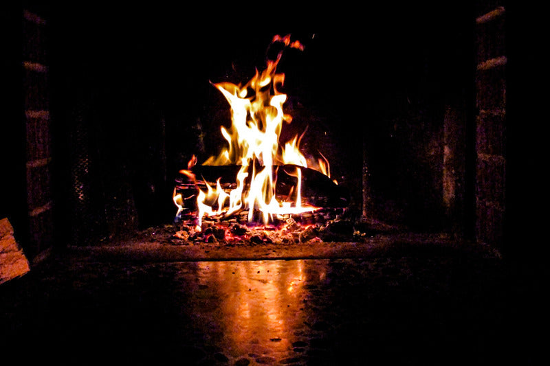Choose Kiln-Dried Firewood