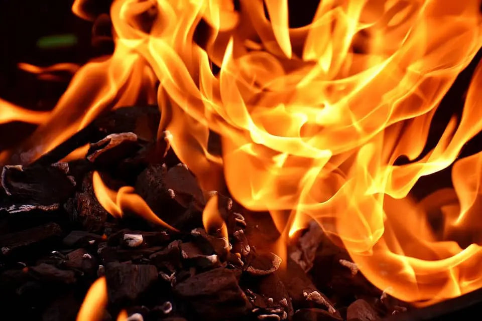 Choose Kiln-Dried Firewood