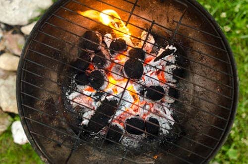Grilling with Cutting Edge Firewood Cooking Wood