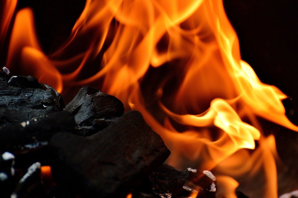 Choose Kiln-Dried Cooking Wood