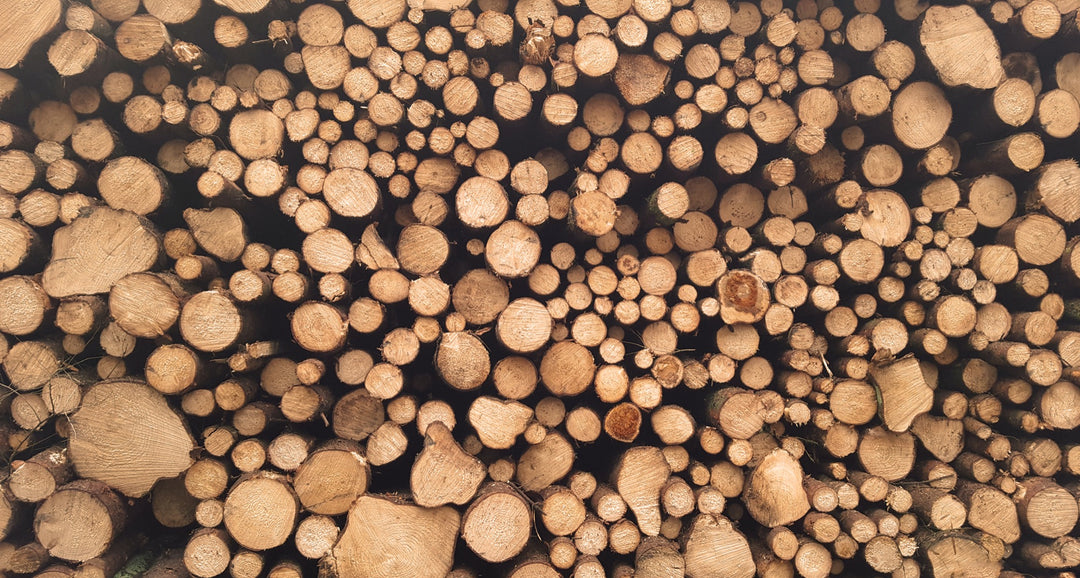 Seasoned Wood
