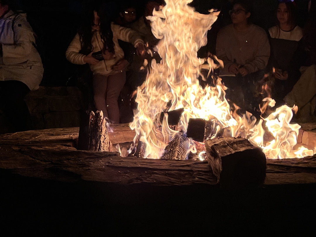 Artisanal Hickory Firewood Box