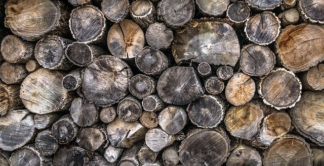 Seasoned firewood can be moldy and wet