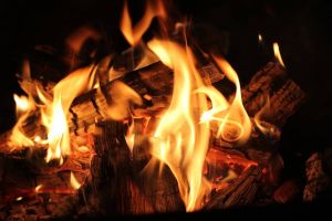 Kiln-Dried Firewood