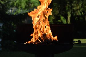 Kiln-Dried Firewood