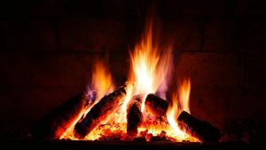 Kiln-Dried Firewood