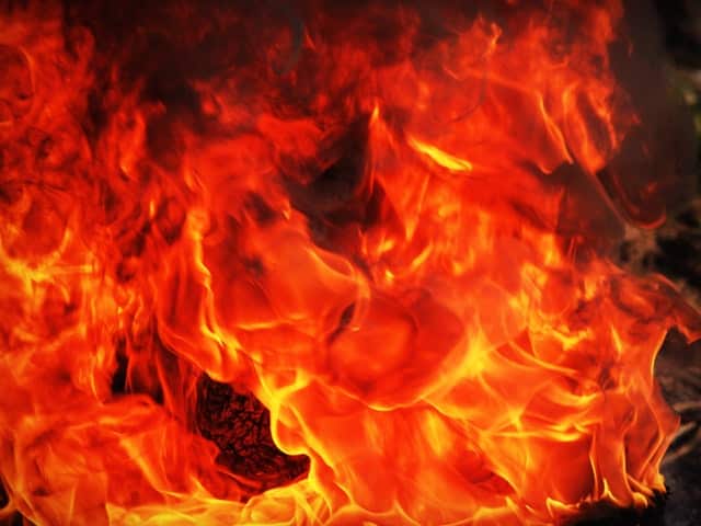 cuttingedgefirewoodcom_946341424